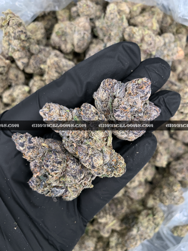 Close-up of Unicorn Tears strain flower with dark olive green buds, purple accents, and sticky trichomes – available for delivery in Washington DC and Virginia.