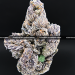 Close-up of Unicorn Tears strain flower with dark olive green buds, purple accents, and sticky trichomes – available for delivery in Washington DC and Virginia.