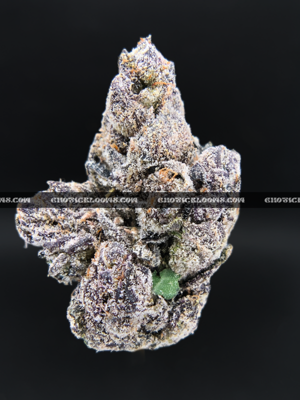 Close-up of Unicorn Tears strain flower with dark olive green buds, purple accents, and sticky trichomes – available for delivery in Washington DC and Virginia.