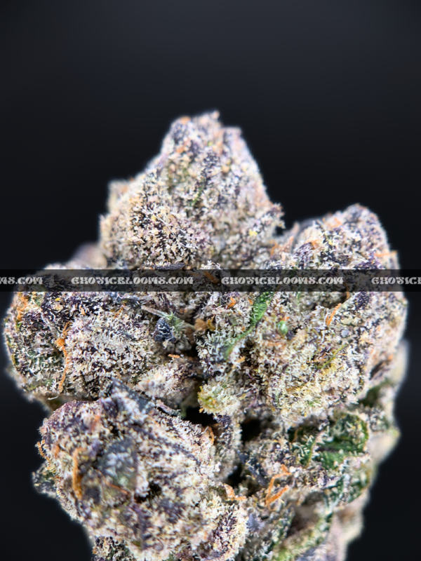 Close-up of Unicorn Tears strain flower with dark olive green buds, purple accents, and sticky trichomes – available for delivery in Washington DC and Virginia.