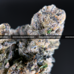 Close-up of Unicorn Tears strain flower with dark olive green buds, purple accents, and sticky trichomes – available for delivery in Washington DC and Virginia.