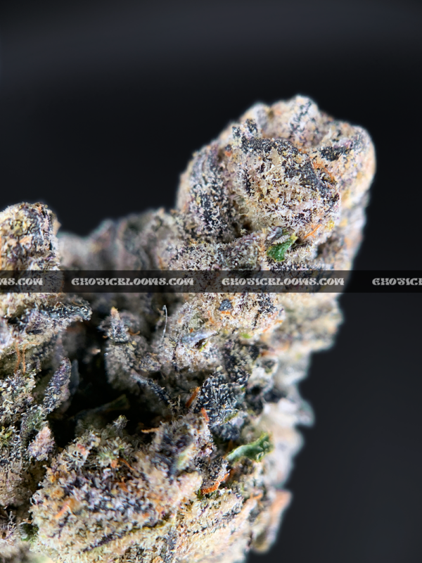 Close-up of Unicorn Tears strain flower with dark olive green buds, purple accents, and sticky trichomes – available for delivery in Washington DC and Virginia.