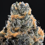 Alien Labs Zpectrum cannabis strain – available for weed delivery in DC, Virginia, and Richmond via Exotic Blooms
