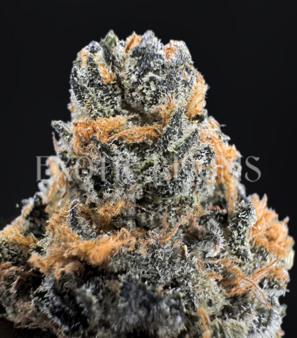 Alien Labs Zpectrum cannabis strain – available for weed delivery in DC, Virginia, and Richmond via Exotic Blooms