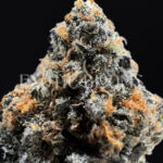 Alien Labs Zpectrum cannabis strain – available for weed delivery in DC, Virginia, and Richmond via Exotic Blooms