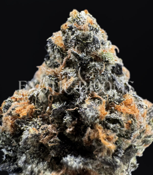 Alien Labs Zpectrum cannabis strain – available for weed delivery in DC, Virginia, and Richmond via Exotic Blooms