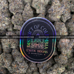 Cherry Gumbo cannabis strain with sweet cherry bubblegum aroma and frosty purple-green buds, available for DC and Virginia delivery.