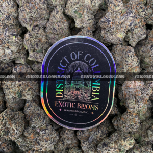 Cherry Gumbo cannabis strain with sweet cherry bubblegum aroma and frosty purple-green buds, available for DC and Virginia delivery.
