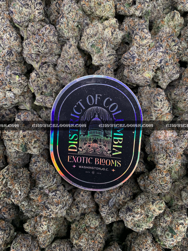 Cherry Gumbo cannabis strain with sweet cherry bubblegum aroma and frosty purple-green buds, available for DC and Virginia delivery.
