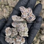 Cherry Gumbo cannabis strain with sweet cherry bubblegum aroma and frosty purple-green buds, available for DC and Virginia delivery.