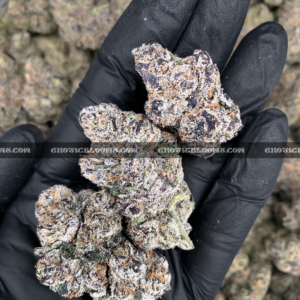 Cherry Gumbo cannabis strain with sweet cherry bubblegum aroma and frosty purple-green buds, available for DC and Virginia delivery.