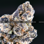 Cherry Gumbo cannabis strain with sweet cherry bubblegum aroma and frosty purple-green buds, available for DC and Virginia delivery.