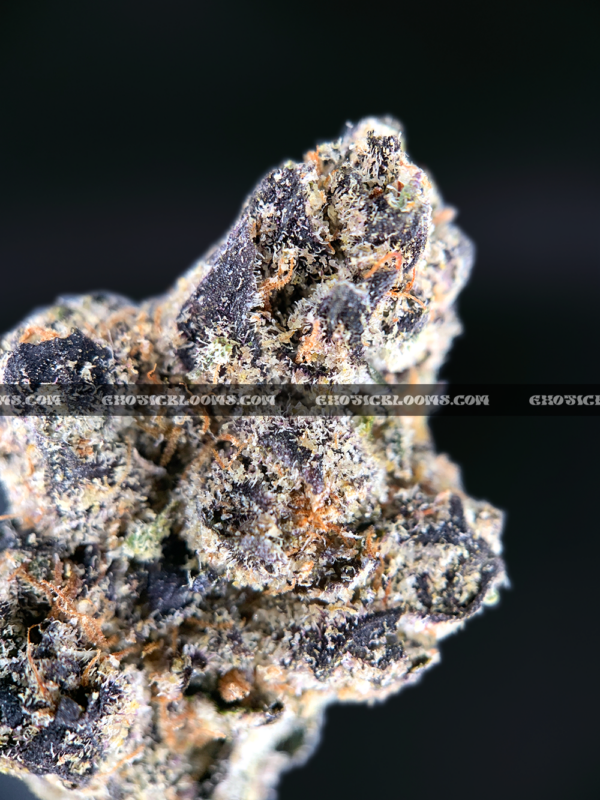 Cherry Gumbo cannabis strain with sweet cherry bubblegum aroma and frosty purple-green buds, available for DC and Virginia delivery.
