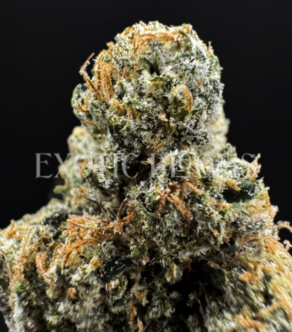 Cherry Popperz sativa hybrid cannabis strain – available for weed delivery in DC, Virginia, and Richmond via Exotic Blooms