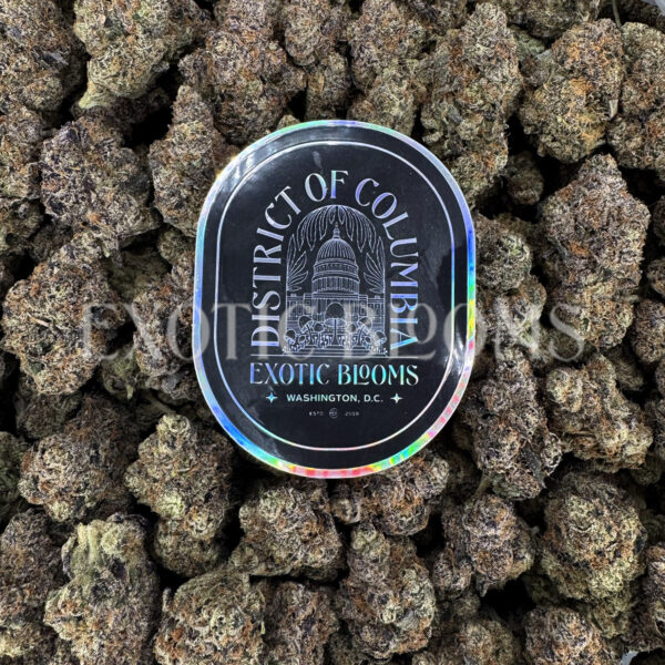 Curelato ~31% THC Indica Hybrid for DC & Virginia Weed Delivery | Exotic Blooms
