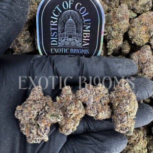 Curelato ~31% THC Indica Hybrid for DC & Virginia Weed Delivery | Exotic Blooms