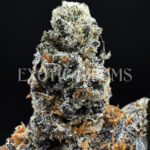 Curelato ~31% THC Indica Hybrid for DC & Virginia Weed Delivery | Exotic Blooms