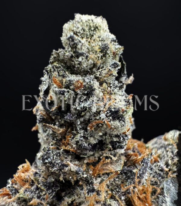 Curelato ~31% THC Indica Hybrid for DC & Virginia Weed Delivery | Exotic Blooms