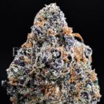 Curelato ~31% THC Indica Hybrid for DC & Virginia Weed Delivery | Exotic Blooms