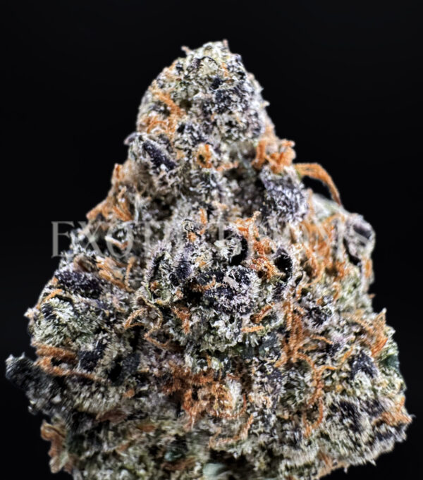 Curelato ~31% THC Indica Hybrid for DC & Virginia Weed Delivery | Exotic Blooms