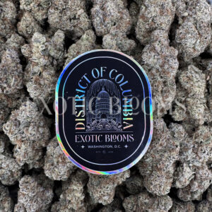 Dantes Inferno indica hybrid cannabis strain – available for weed delivery in DC, Virginia, and Richmond via Exotic Blooms