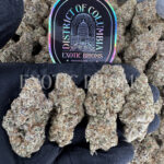 Dantes Inferno indica hybrid cannabis strain – available for weed delivery in DC, Virginia, and Richmond via Exotic Blooms
