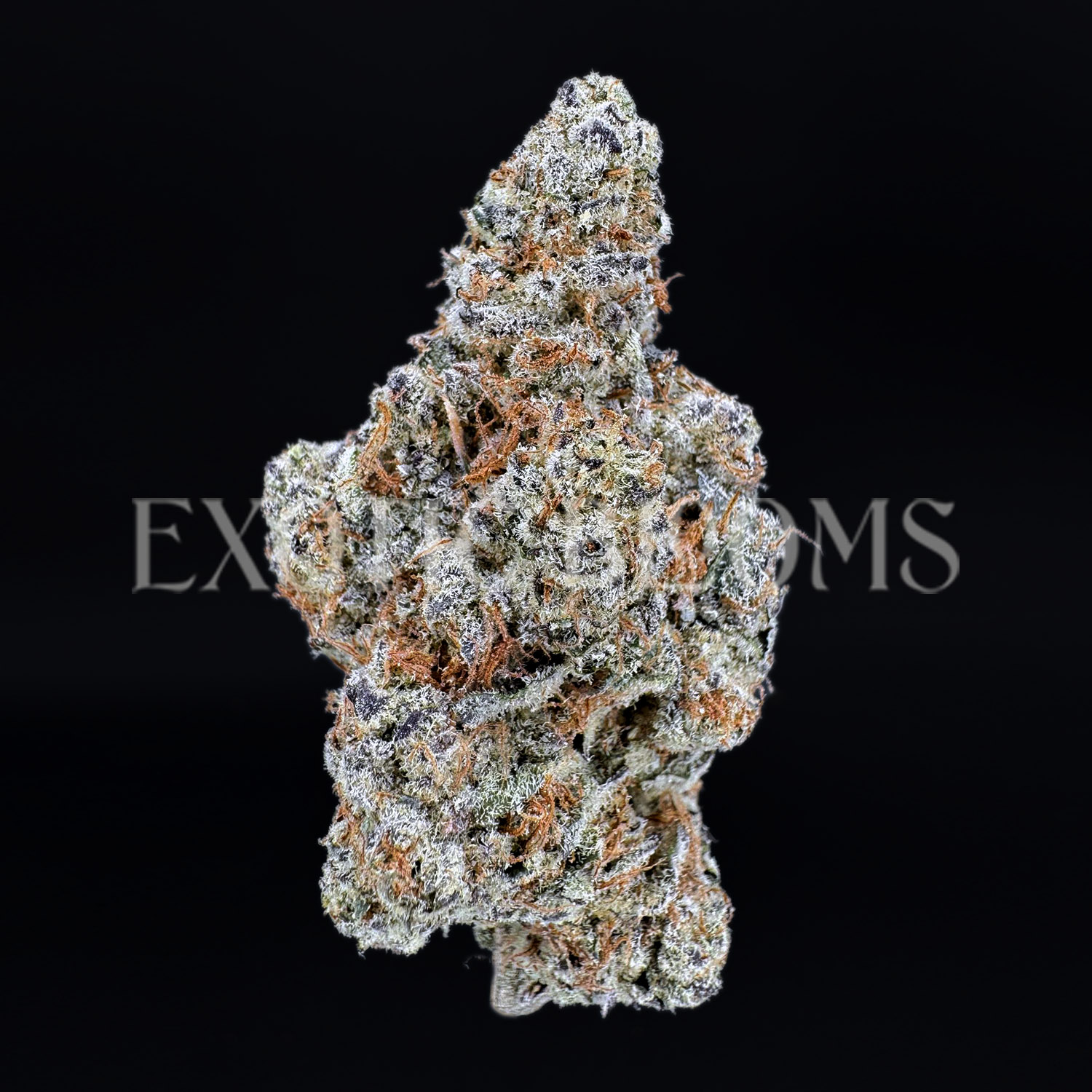Dantes Inferno indica hybrid cannabis strain – available for weed delivery in DC, Virginia, and Richmond via Exotic Blooms