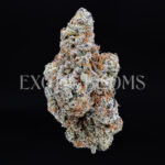 Dantes Inferno indica hybrid cannabis strain – available for weed delivery in DC, Virginia, and Richmond via Exotic Blooms