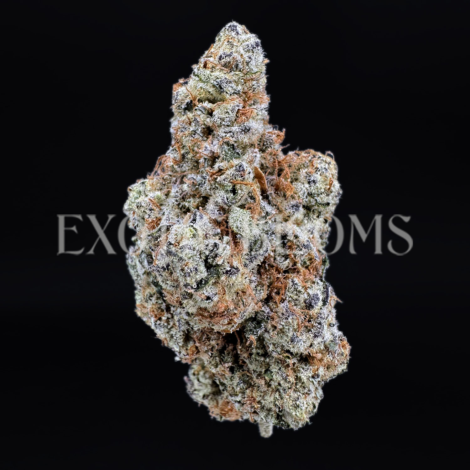 Dantes Inferno indica hybrid cannabis strain – available for weed delivery in DC, Virginia, and Richmond via Exotic Blooms