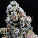Dantes Inferno indica hybrid cannabis strain – available for weed delivery in DC, Virginia, and Richmond via Exotic Blooms