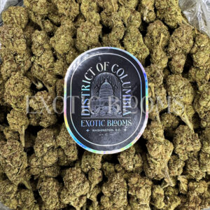 Green Candy hybrid cannabis strain – available for weed delivery in DC, Virginia, and Richmond via Exotic Blooms