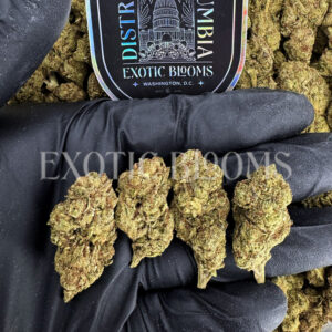 Green Candy hybrid cannabis strain – available for weed delivery in DC, Virginia, and Richmond via Exotic Blooms