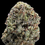 Green Candy hybrid cannabis strain – available for weed delivery in DC, Virginia, and Richmond via Exotic Blooms