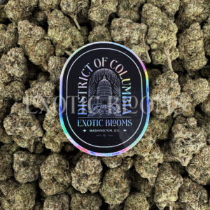 Gumbo indica hybrid cannabis strain – available for weed delivery in DC, Virginia, and Richmond via Exotic Blooms