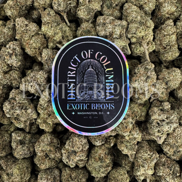 Gumbo indica hybrid cannabis strain – available for weed delivery in DC, Virginia, and Richmond via Exotic Blooms