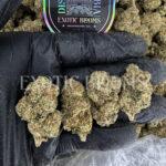 Gumbo indica hybrid cannabis strain – available for weed delivery in DC, Virginia, and Richmond via Exotic Blooms