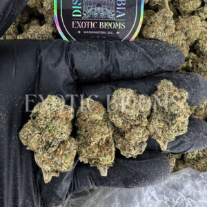 Gumbo indica hybrid cannabis strain – available for weed delivery in DC, Virginia, and Richmond via Exotic Blooms