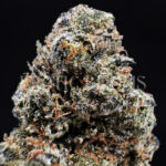 Gumbo indica hybrid cannabis strain – available for weed delivery in DC, Virginia, and Richmond via Exotic Blooms