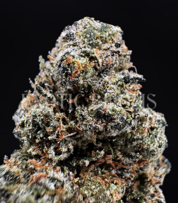 Gumbo indica hybrid cannabis strain – available for weed delivery in DC, Virginia, and Richmond via Exotic Blooms