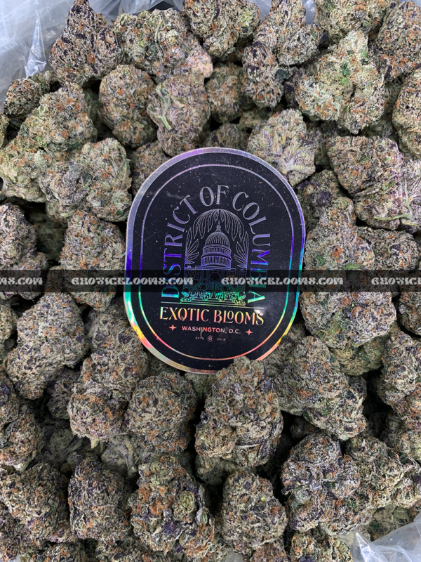 Hawaiian Breeze cannabis flower with dense mint green buds, amber trichomes, and tropical aroma