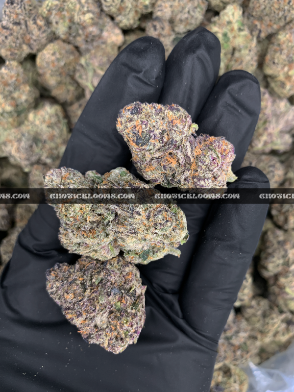 Hawaiian Breeze cannabis flower with dense mint green buds, amber trichomes, and tropical aroma