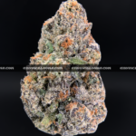 Hawaiian Breeze cannabis flower with dense mint green buds, amber trichomes, and tropical aroma