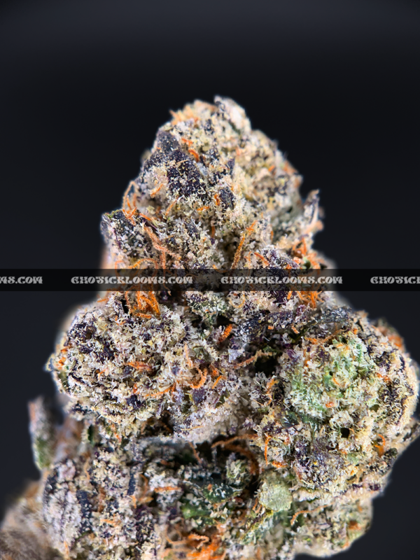Hawaiian Breeze cannabis flower with dense mint green buds, amber trichomes, and tropical aroma