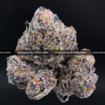 Hawaiian Breeze cannabis flower with dense mint green buds, amber trichomes, and tropical aroma