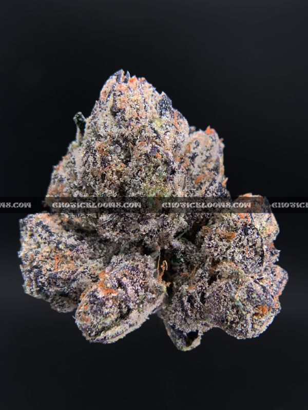 Hawaiian Breeze cannabis flower with dense mint green buds, amber trichomes, and tropical aroma