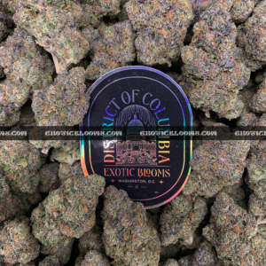 Ice King strain dense frosty indica cannabis buds for delivery in DC and Virginia