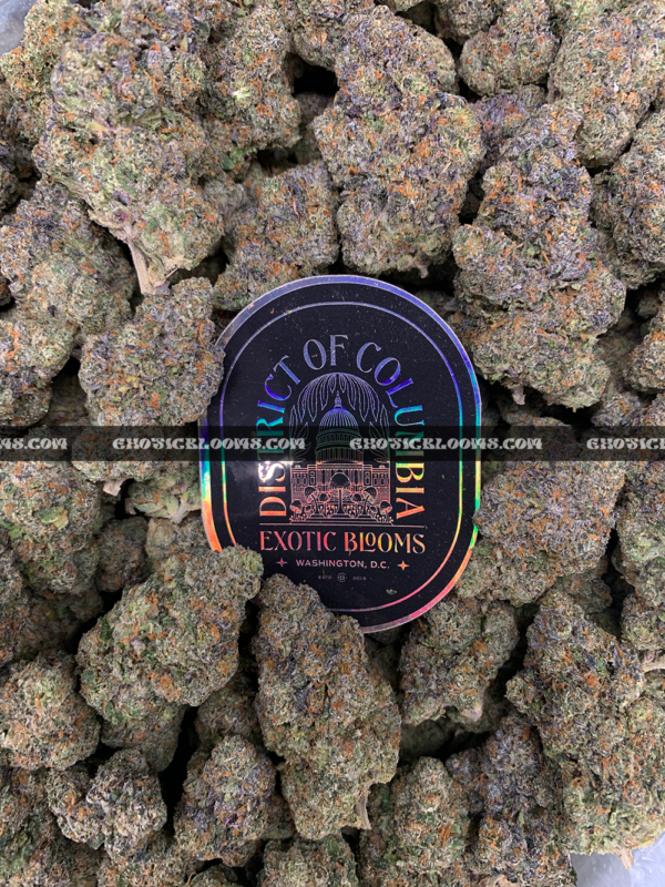 Ice King strain dense frosty indica cannabis buds for delivery in DC and Virginia
