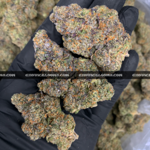 Ice King strain dense frosty indica cannabis buds for delivery in DC and Virginia