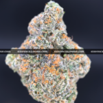 Ice King strain dense frosty indica cannabis buds for delivery in DC and Virginia