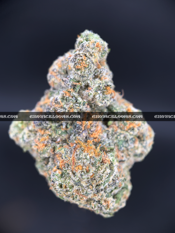 Ice King strain dense frosty indica cannabis buds for delivery in DC and Virginia